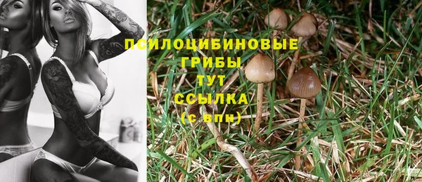 кокаин премиум Осташков